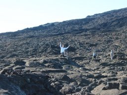 Vis et Lutz : Nos premiers visiteurs !